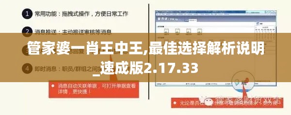 管家婆一肖王中王,最佳选择解析说明_速成版2.17.33