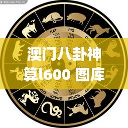 澳门八卦神算l600 图库l八百图库l294 澳门资料,公共管理学_体验式版本4.64.31