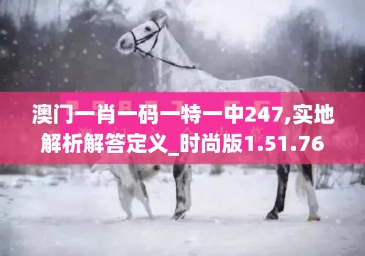 澳门一肖一码一特一中247,实地解析解答定义_时尚版1.51.76