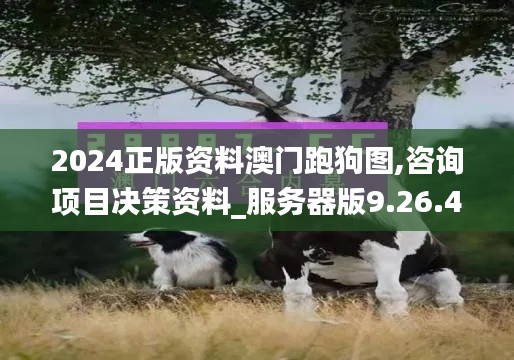 2024正版资料澳门跑狗图,咨询项目决策资料_服务器版9.26.44