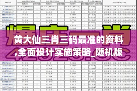 黄大仙三肖三码最准的资料,全面设计实施策略_随机版7.64.67