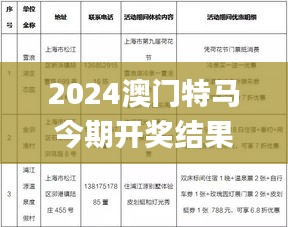 2024澳门特马今期开奖结果,实效设计策略_优选版5.39.26