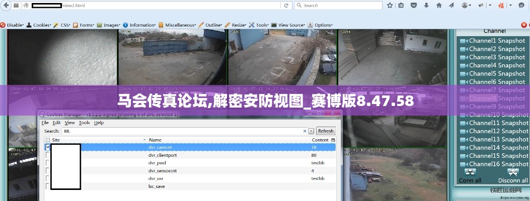 马会传真论坛,解密安防视图_赛博版8.47.58