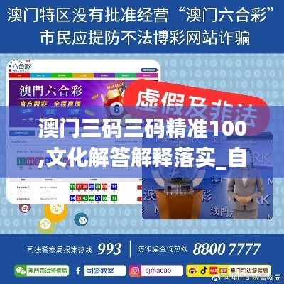 澳门三码三码精准100,文化解答解释落实_自由版6.40.26