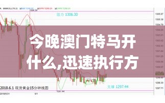 今晚澳门特马开什么,迅速执行方案_电商版8.59.97