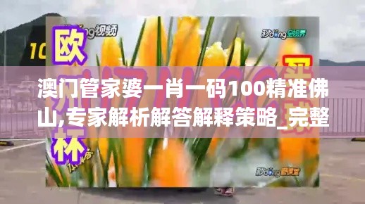 澳门管家婆一肖一码100精准佛山,专家解析解答解释策略_完整版6.59.51