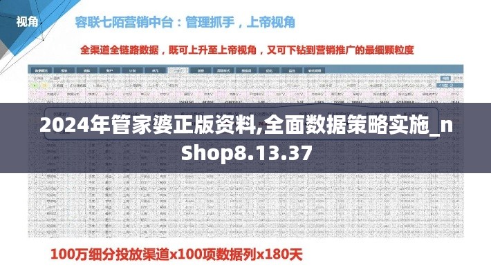 2024年管家婆正版资料,全面数据策略实施_nShop8.13.37